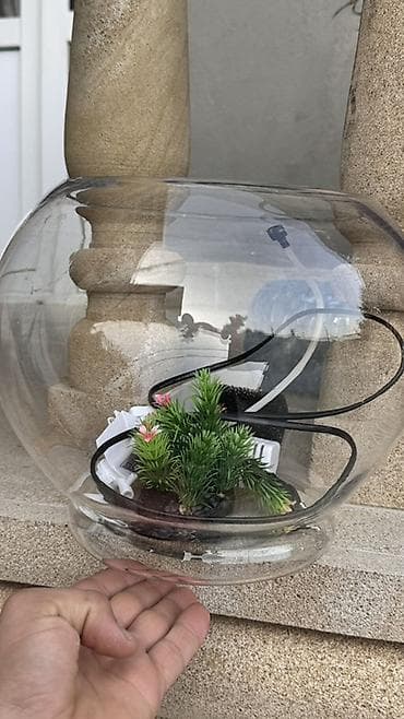 Yumru akvarium, Boş, 4 l, Ünvandan götürmə