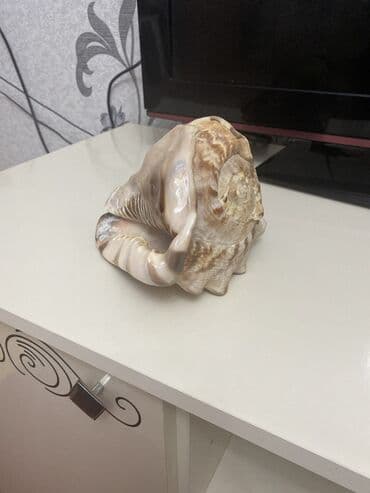 qedim saatlar: Əntiq saatlar — 1