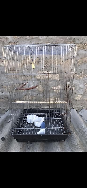 danişan quş: Böyük ölçülü quş qəfəsi - Material: metal barmaqlıqlar, plastik — 1