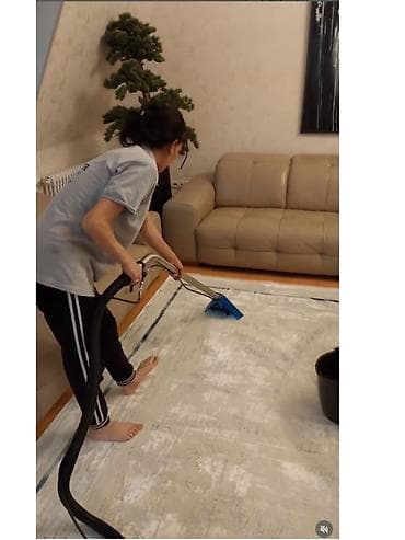 Təmizlik | Evlər | Ümumi təmizlik