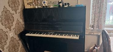 Piano, Belarus, Akustik, İşlənmiş