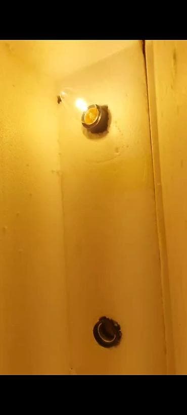 inkubator matoru: Ev şəraitində cücə/çəpər balası çıxarmaq üçün özəl hazırlanmış köpük — 4