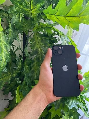 IPhone 13, Qara, Face ID