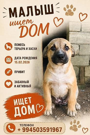 С прививками
