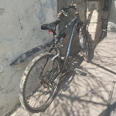 velo home: 50 m iksi — 2
