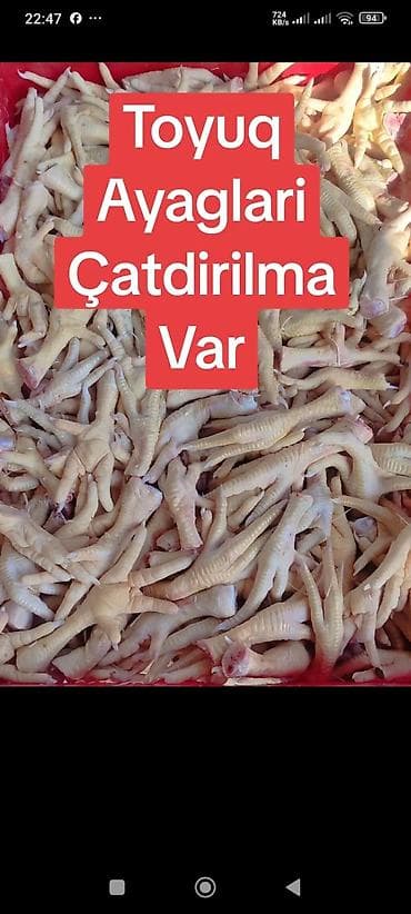 kömür toptan: Digər brend Toyuq Topdan — 4