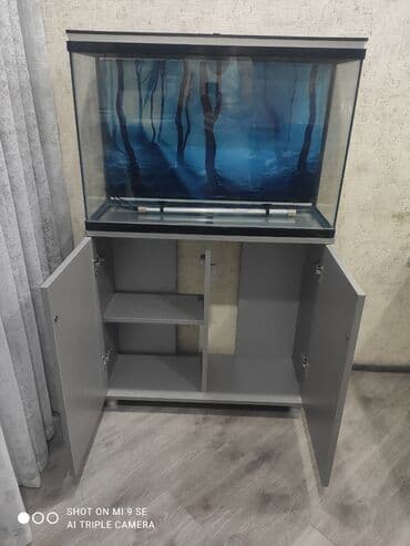 betta balıq: Akvaryum komplekti – şkaflı - Şüşə akvaryum, üst qapaqlı. Qapaq — 2