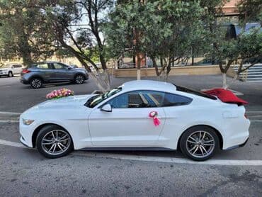 аренда авто ош матиз без залога: 2018-ci il Mustang. Toy, Nişan və digər tədbirlər üçün sifariş edə — 8