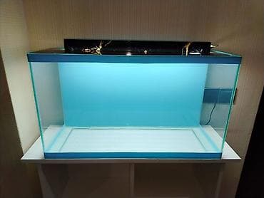 avcarka satisi: Dördbucaq akvarium, Boş, 70 l — 3