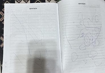 test kitabi: İngilis dili Testlər 11-ci sinif, DİM, 1-ci hissə, 2024 il — 3