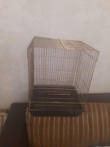 qefes: Qizili reng qefes yenidir Hundurluyu 56 Eni 42 Istiyen olsa Genclikden — 2