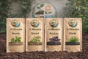 zire bitkisi: ✨ 4 Mövsüm ✨ 🌱 Artıq evinizdə və bağçanızda təbii, dərmansız və — 1