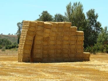 lal ordək yumurta: Preslənmiş ot satılılır, 1 ədədi 3,50 qəpik, 2-ci kosdur, 250 ədəd — 3