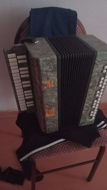 Akustik Akkordeon