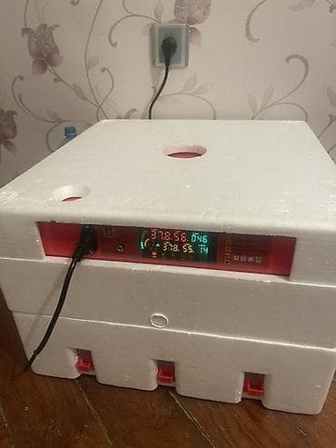 Yumurta inkubatoru – 2defe ısdıfade etmışem. 80 85faız cıxım olub
