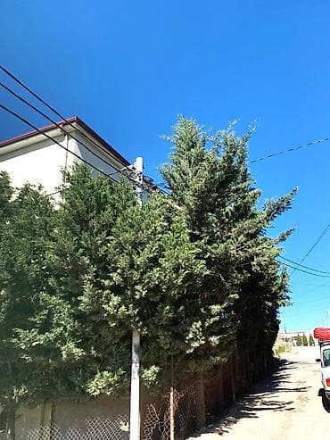 kiray: Hökməli 6 otaqlı, 750 kv. m, Kredit yoxdur, Orta təmir — 2