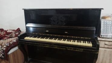 Qida məhsulları: SATILIR — 1