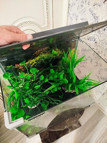 akvaryum: BOYU akvarium seti - Marka/model: BOYU - Şüşə akvarium, ön küncləri — 5