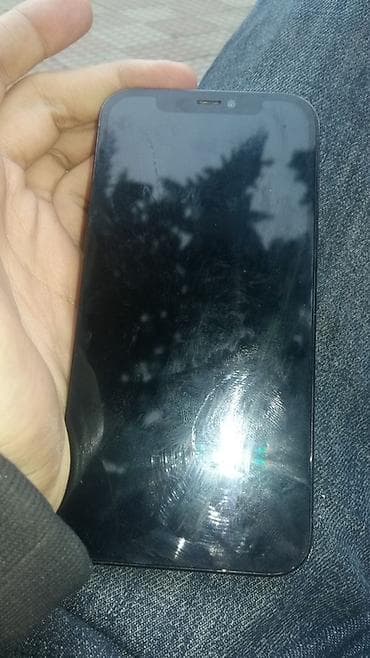 appl: IPhone 12 Pro, Pacific Blue, Face ID — 4