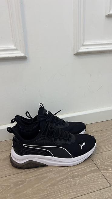 puma azerbaijan: Salam.Original Amerika Puma magazasindan sifarish edilib.Cemi 1 defe — 2