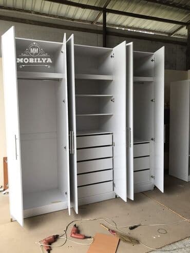 сушильный шкаф для фруктов бишкек: Düz dolab, Qonaq otağı üçün, Dəhliz üçün, Yataq otağı üçün, Qarderob, Açılan, Korpuslu — 4