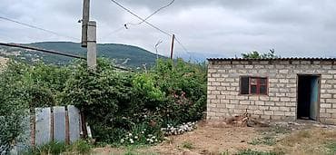 topaq: 20 sot, Mülkiyyətçi — 3