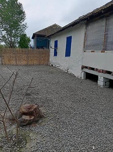 ikinci el barbi evi: Heyetde iki ev var 68sotdur baglari var qiymet 2000. Amma razilasma — 4