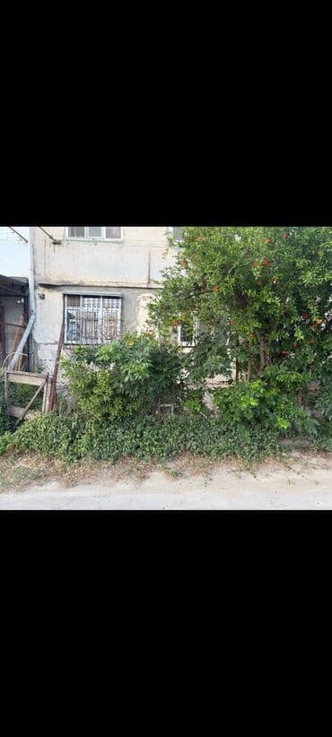 суточный квартира токмок: Saray, 2 otaqlı, Köhnə tikili, 50 kv. m — 11