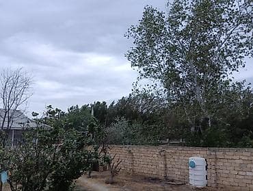 4 sot, Tikinti, Barter mümkündür, Kupça (Çıxarış), Texniki pasport