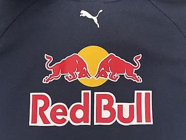 футболка: Мужская футболка, Puma, M, цвет - Синий — 9