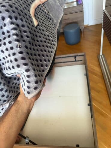 qoz qiyməti: 2 təknəfərlik çarpayı, Dolab, Termo, 2 tumba, İşlənmiş — 5