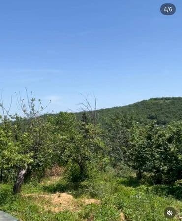 yaşmada torpaq qiymeti: 27 sot, Kupça (Çıxarış) — 1