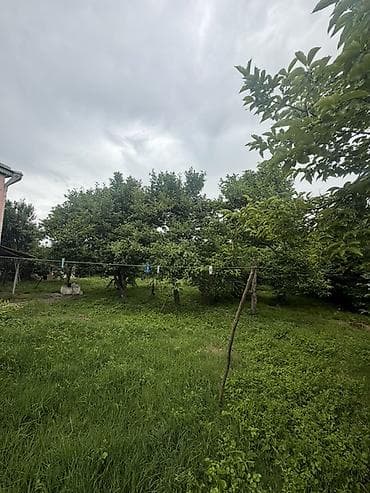Продажа дач: 25 соток, Собственник, Купчая — 9
