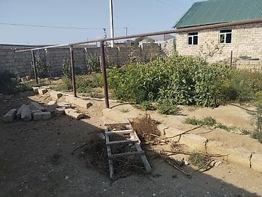 binə savxozda torpaq: Kənd təsərrüfatı — 2