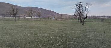 kurdaxanida heyet evleri: Kənd təsərrüfatı — 8