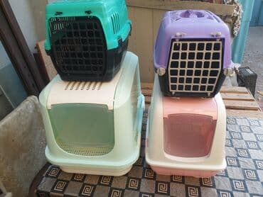 переноска для кошек баку: 6edee Plastik dasimalar 20-25azn yatmaq ucun dosek 10azn suqabi — 3
