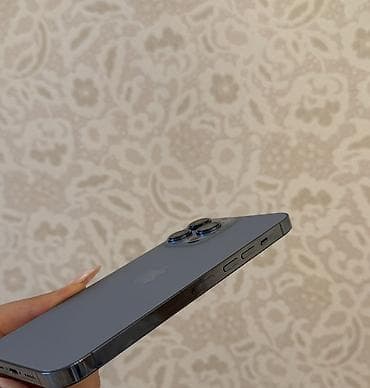 max co: IPhone 13 Pro Max, 256 GB — 9