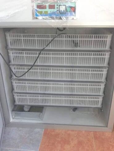 инкубатор цена ош: Для всех видов птиц, Заводское производство, Полностью автоматическая — 4