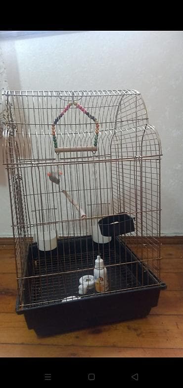 qəfəs: 📍Təcili📍Öncelikle her kese salam lazım olmadiği uçun maya deyerinden — 2