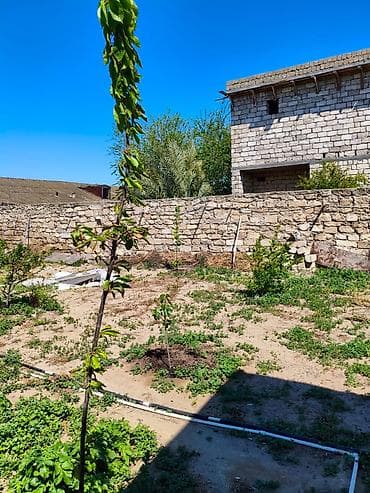 evler satisi: 9 sot, Tikinti, Barter mümkündür, Kupça (Çıxarış) — 4
