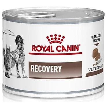 Royal Canin Recovery – itlər və pişiklər üçün konservləşdirilmiş
