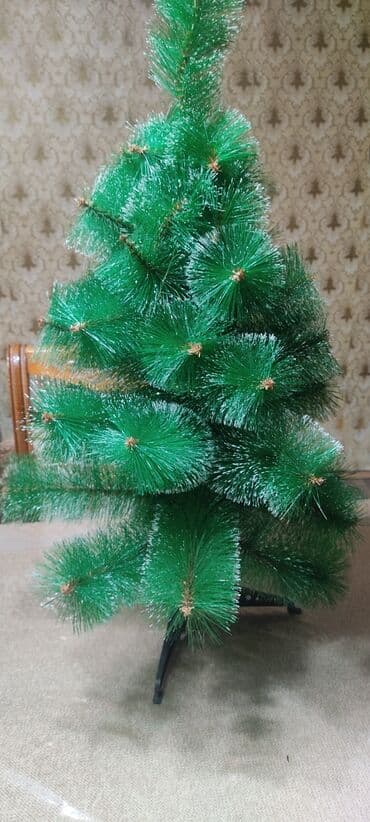 avokado ağacı: Boyu 1m. 15m — 1