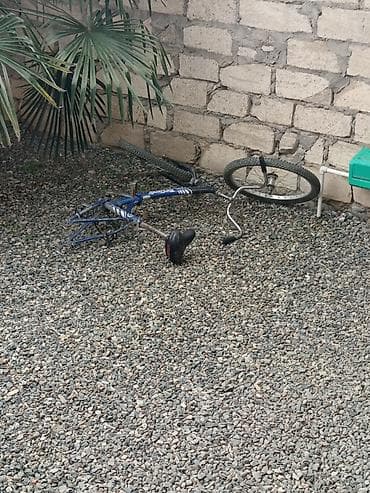 velosiped 20 lük: 24 duy velosiped - Çərçivə: polad materiallı, mavi rəngdə, 20" təkər — 1