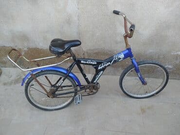 9 yaşdan yuxarı uşaqlar üçün velosipedlər: İki təkərli Uşaq velosipedi 24", sürətlərin sayı: 1 — 1