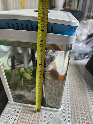 С/х животные и товары: Kompakt akvarium seti - Ölçülər (təxmini): eni 22 sm, hündürlük 30 — 2