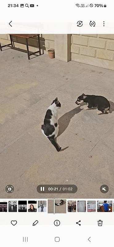 vəkil xidməti: Məhsul: Qısa video faylı (təxminən 1 dəqiqə) Təsvir: - Açıq məkan — 1