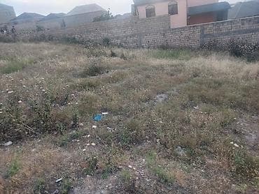 6 sot, Tikinti, Mülkiyyətçi, Kupça (Çıxarış) — 2