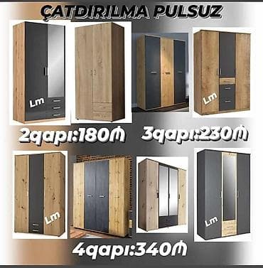 Qapılı paltar şkafları – müxtəlif modellər və ölçülər - Rəng və