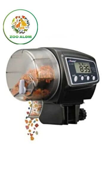 oskar balığı: Balıq yemləmə (avtomatik balıq yemləmə) Əziz balıq həvəskarı olan — 2