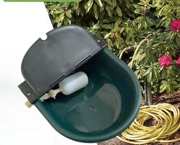 Yem qabı, Su üçün, Heyvanlar üçün, Ünvandan götürmə, Pulsuz çatdırılma, Ödənişli çatdırılma